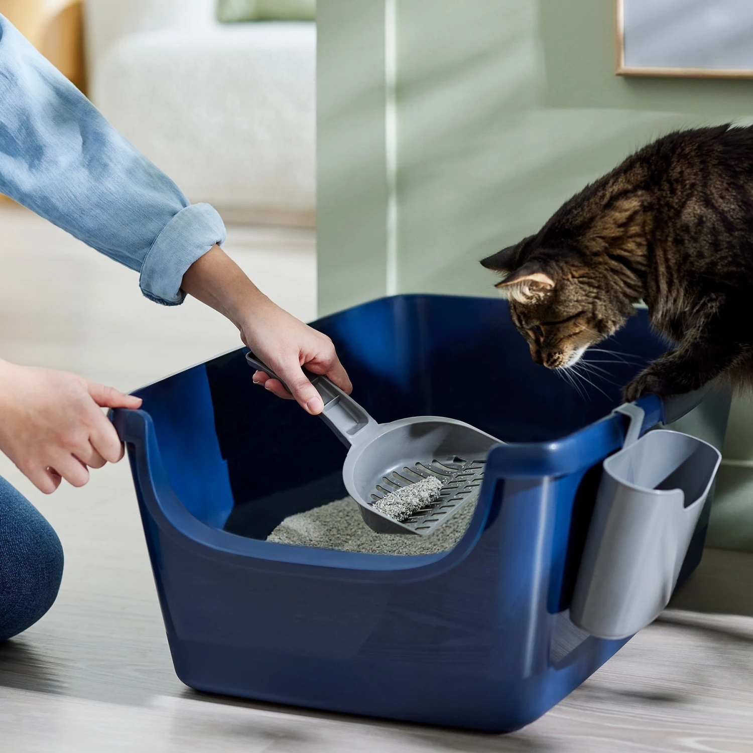 Frisco Open Top Cat Litter Box With Rim, Large & Frisco Plastic Litter Scooper with Caddy