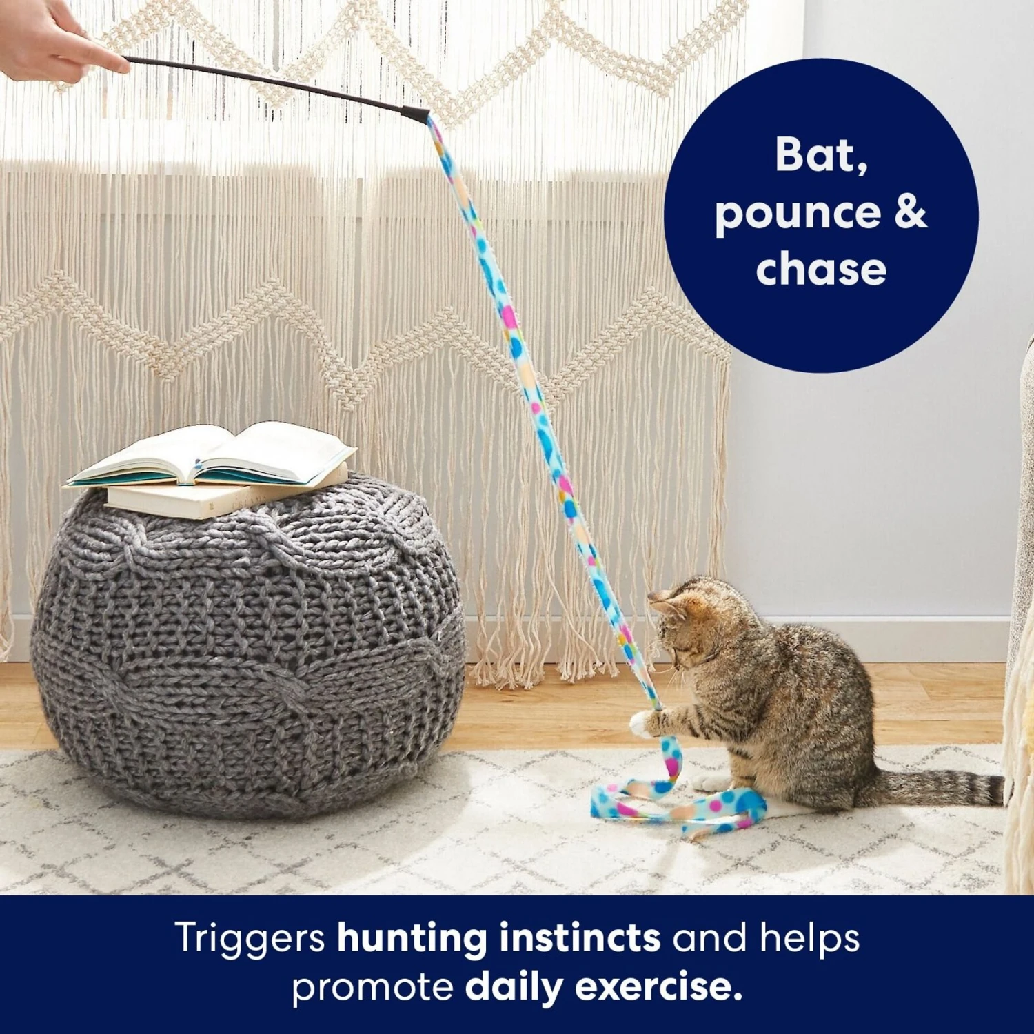 Frisco Fabric Teaser Wand Cat Toy & Frisco Bird with Feathers Teaser Wand Cat Toy with Catnip