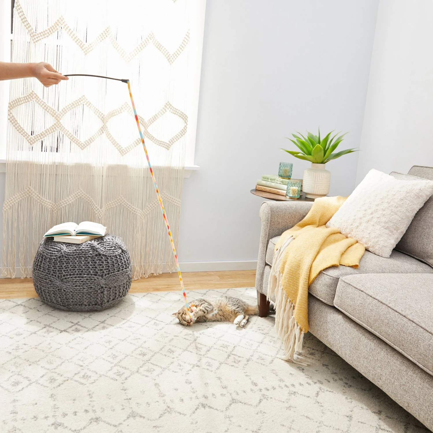 Frisco Fabric Teaser Wand Cat Toy & Frisco Bird with Feathers Teaser Wand Cat Toy with Catnip