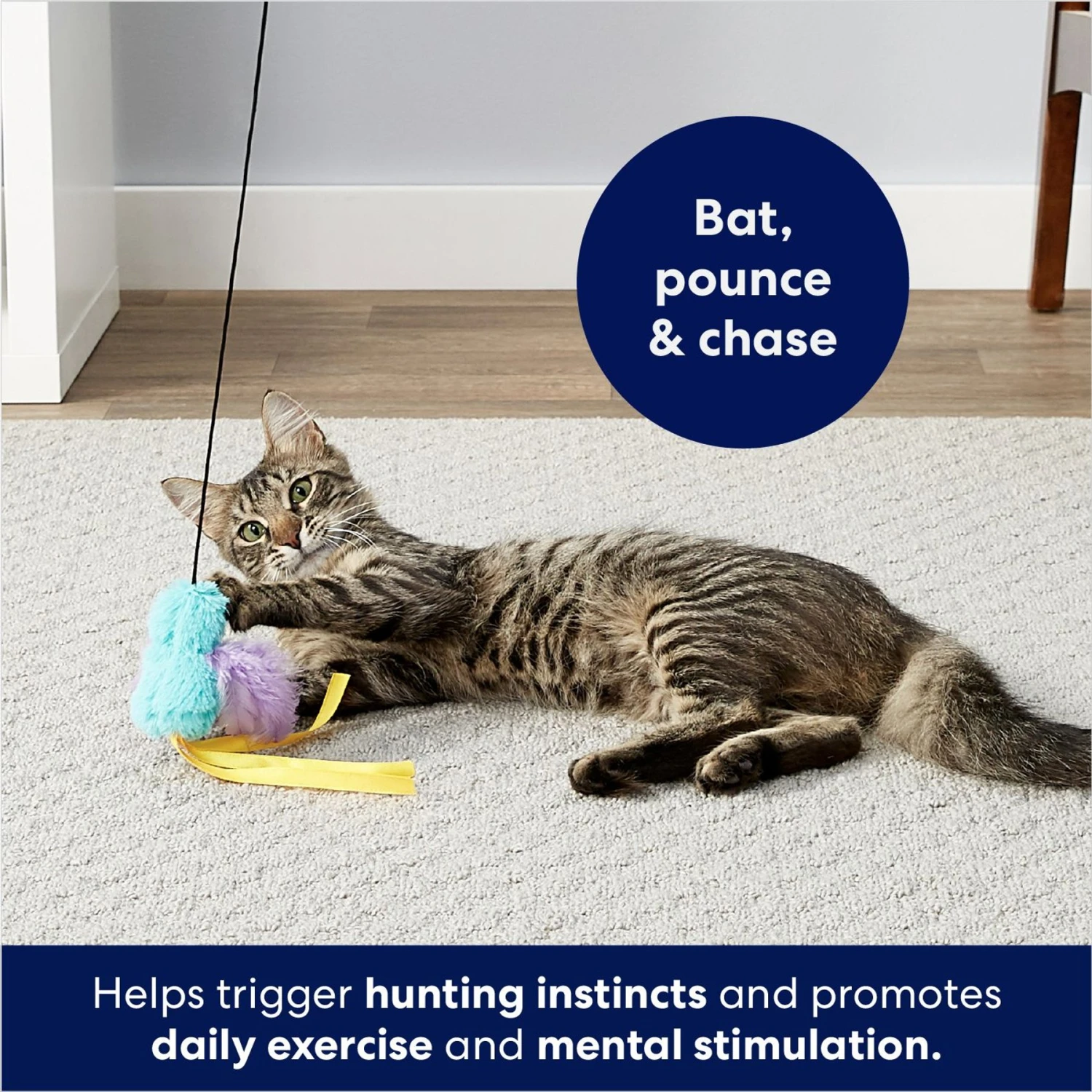 Frisco Fabric Teaser Wand Cat Toy & Frisco Bird with Feathers Teaser Wand Cat Toy with Catnip