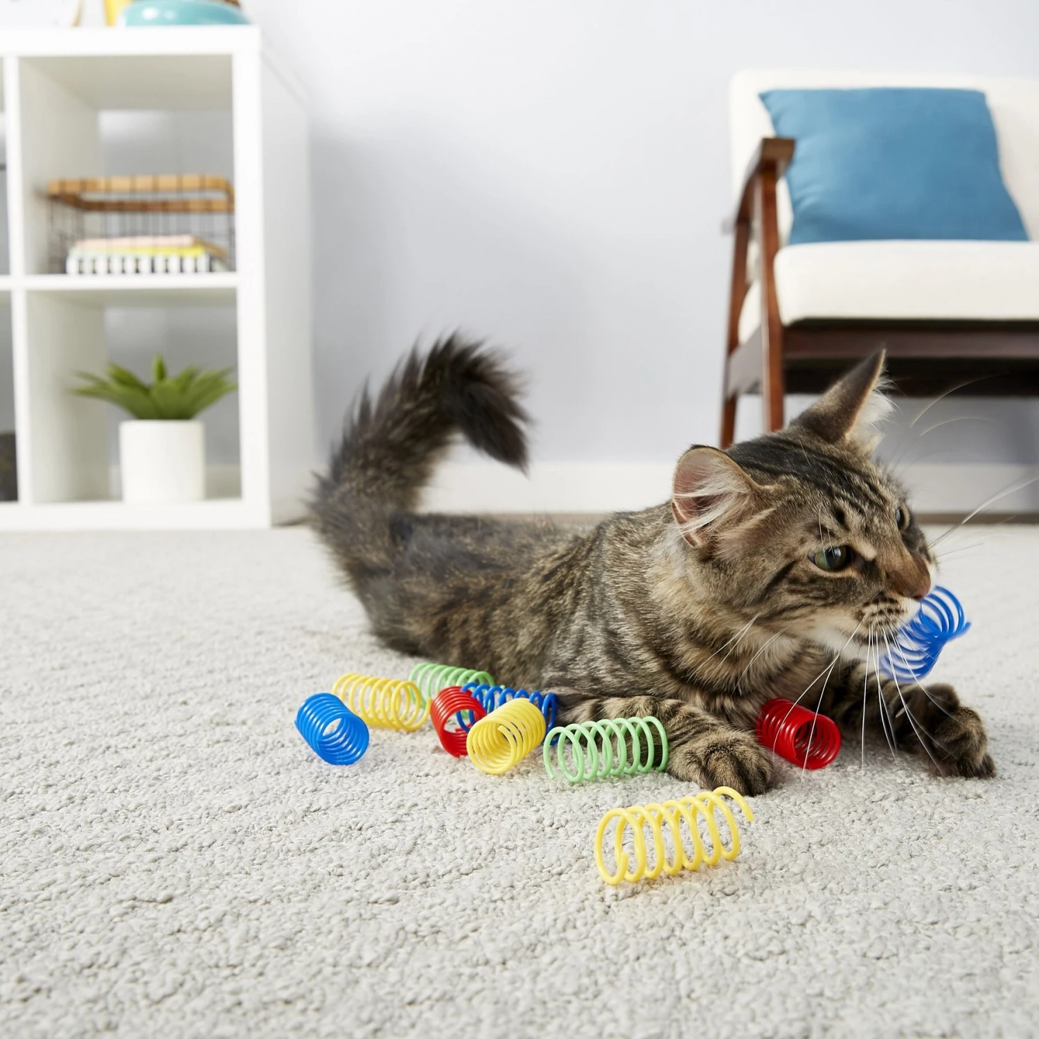 Frisco Colorful Springs Cat Toy & Frisco Bird with Feathers Teaser Wand Cat Toy with Catnip